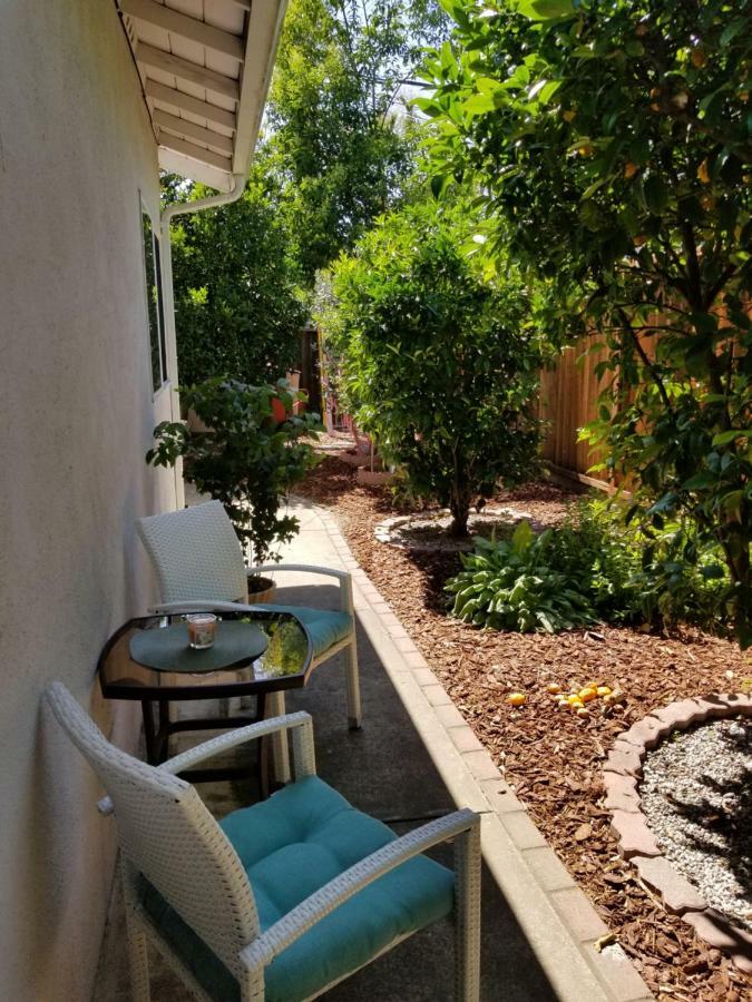 Vila Luxury 2Br/1Ba Oasis In San Jose Ca Exteriér fotografie
